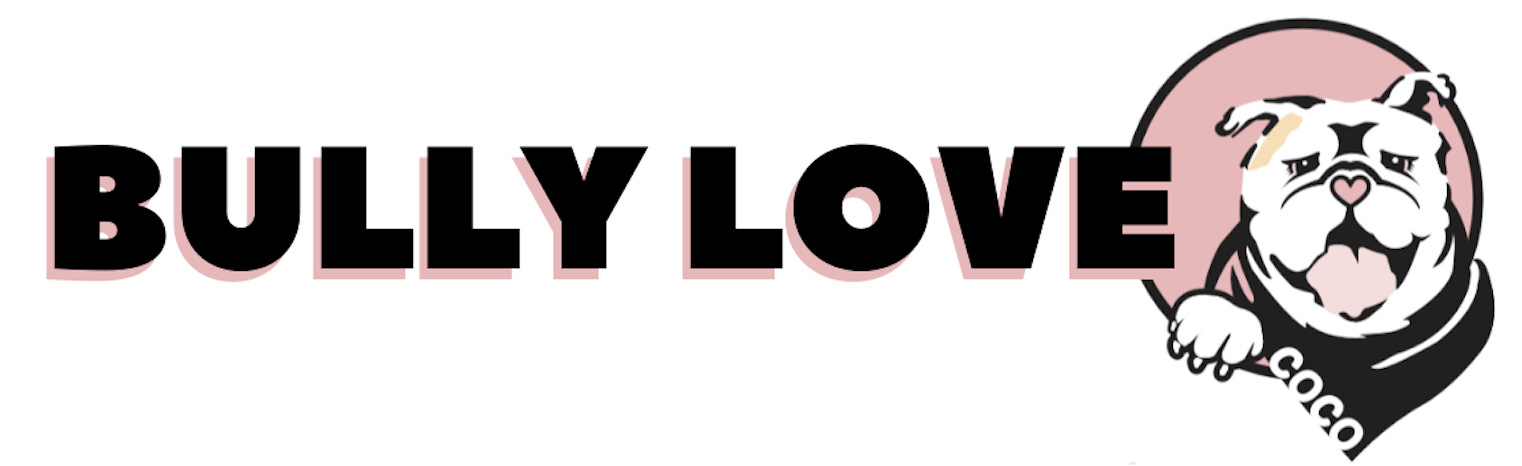 Bully Love Logo